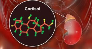 Thuốc điều trị suy tuyến thượng thận và những điều cần biết