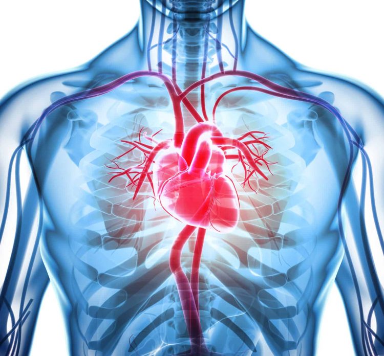 Ảnh hưởng của bệnh động kinh lên hệ tim mạch