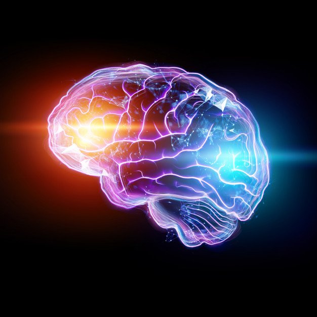 Mất trí nhớ nghiêm trọng có phải là một vấn đề về não và có cách chữa trị?